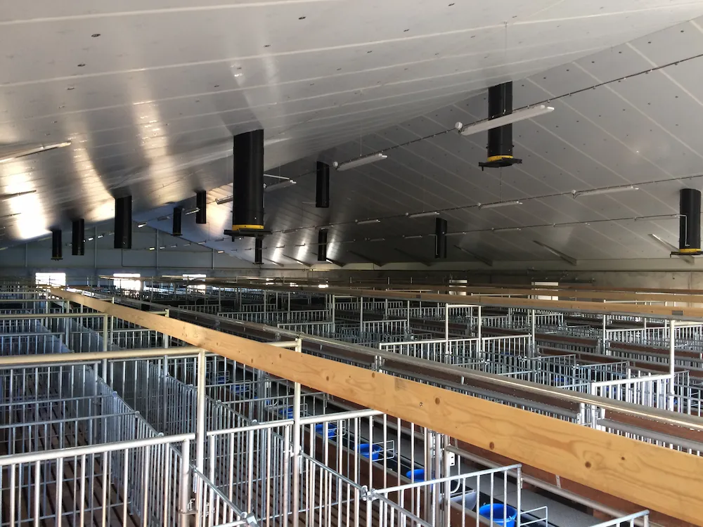 Bâtiment d'élevage pour veaux sur mesure