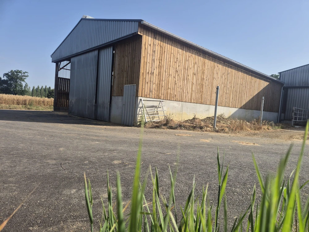 Bâtiment de stabulation bovine en charpente acier