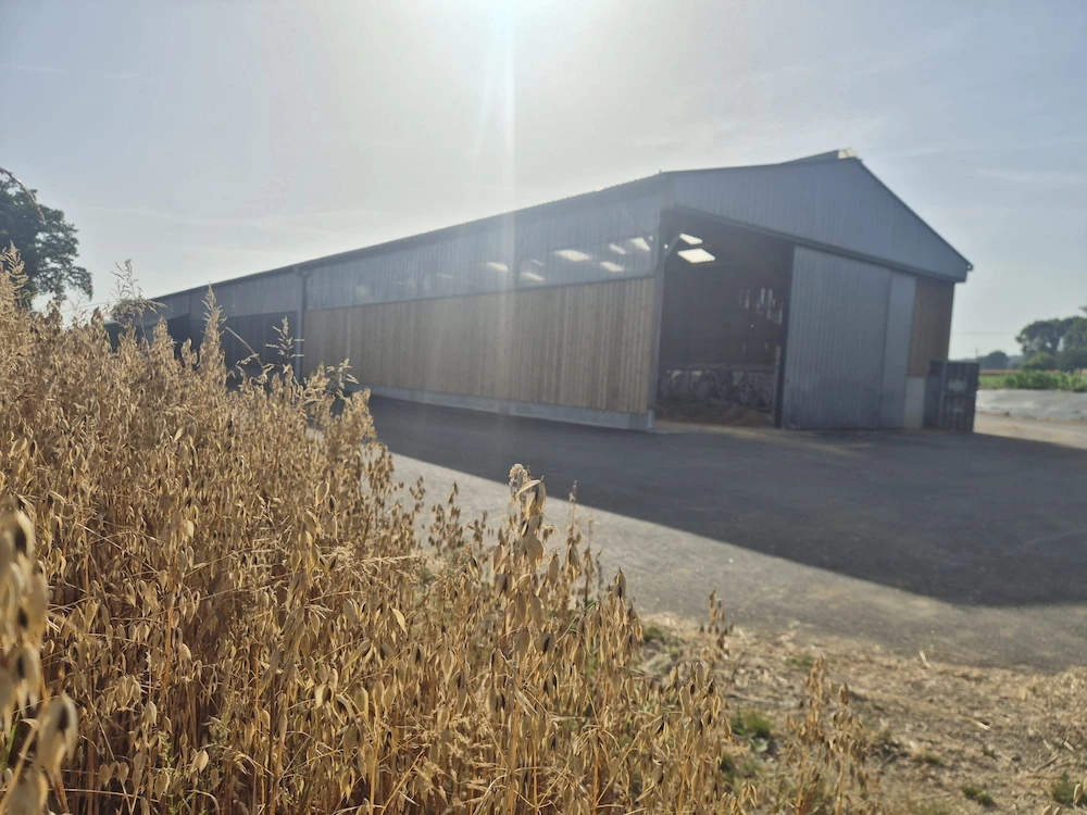 Vue latérale d'une stabulation bovine neuve